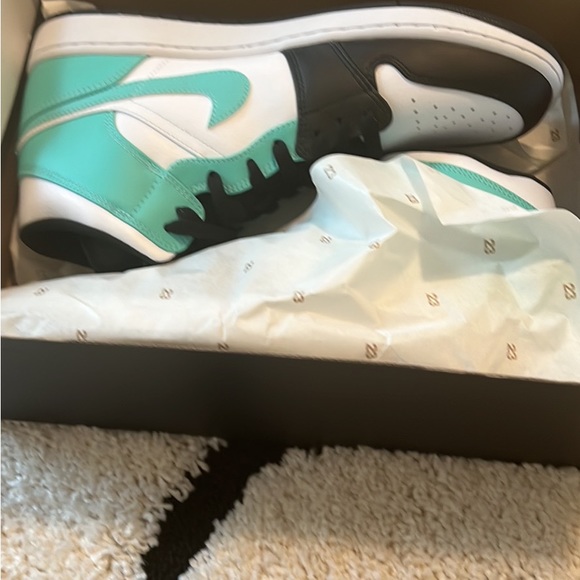 Nike Jordan shoes